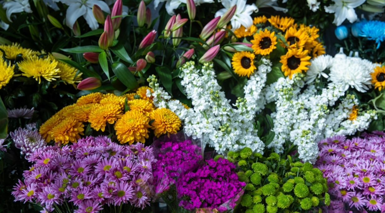 Sevgililer Günü öncesi çiçek fiyatları uçtu: 9 bine kadar çıkıyor!