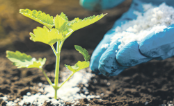 Gübre ithalatında gümrük vergisi sıfırlandı: Ticaret Bakanlığı duyurdu