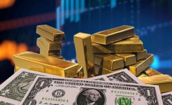 Bu hafta hangi yatırım aracı ne kadar kazandırdı?