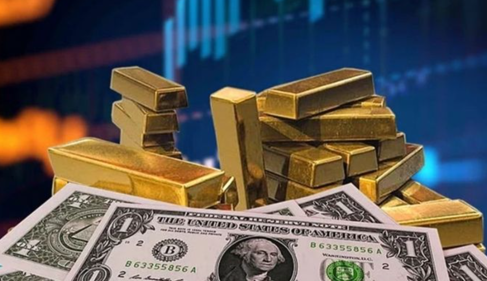 Bu hafta hangi yatırım aracı ne kadar kazandırdı?